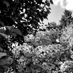 Meet your Posher, Vicky